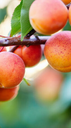 3 treatment tips to fight melanoma